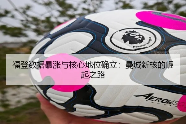 fu-deng-shu-ju-bao-zhang-yu-he-xin-di-wei-que-li-man-cheng-xin-he-de-jue-qi-zhi-lu-2-460.jpg