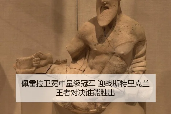 pei-lei-la-wei-mian-zhong-liang-ji-guan-jun-ying-zhan-si-te-li-ke-lan-wang-zhe-dui-jue-shui-neng-sheng-chu-3-946.jpg